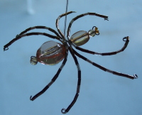 Spider - Copper Tones