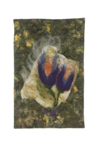 Spring Crocus