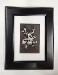 Mystery Media Abstract 