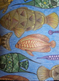 Postcard - Fish School