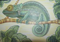 Postcard - Green Lizard