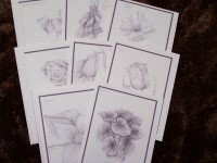 Floral Note Card - Scripture Pkg 8 - Begonia