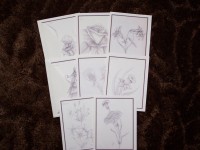 Floral Note Card - Scripture Pkg 8 -  Carnation