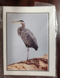 Note Card - Heron on Log