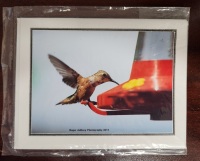 Note Card - Thetis Hummingbird Landing
