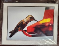 Note Card - Thetis Hummingbird Landing - Direct Print
