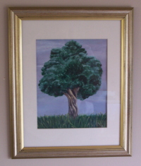 Lone Tree - NOT FOR SALE