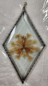 Suncatcher - Bevel Diamond With Dried Flowers