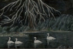 Swans on the Tlell, Acrylic - NOT FOR SALE